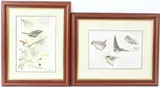 Scilly Isles Oct 1983 by Steve Cale, watercolor, sold Feb 2026