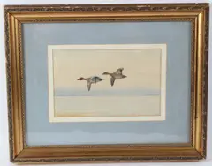 Widgeon in Flight by Philip Rickman, watercolour, sold Feb 2026