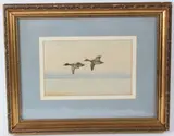 Widgeon in Flight by Philip Rickman, watercolour, sold Feb 2026