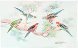 Parrots on a tree branch by M Simpson, watercolour, sold Feb 2026