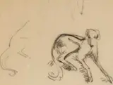 Graphite on paper - study of a greyhound or whippet by Frank Brangwyn, print (other), sold Jul 2024