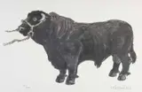 Welsh Black Bull by Kyffin Williams, print, sold Jul 2024