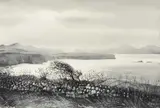 'Ramsey Island from Trwyn by Alun Davies, watercolour, offered Jun 2024