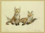 Label verso by Eileen A Soper, watercolour, sold May 2024