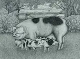 Spot with Piglets by Seren Bell, ink on paper, sold Apr 2024