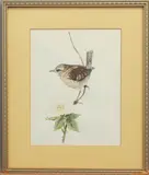 Study of a wren on a wild rose stem by D. Rowlands, 1979, watercolour, sold Apr 2025