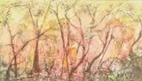 Sunset trees mixed media by Barbara Perkins, mixed media, offered Mar 2025
