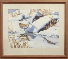 Water Rail by Martin Ridley, 1995, watercolour, sold Nov 2024