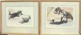 Kittens at Play by Harry Dixon, print (other), sold Nov 2024