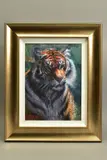 Tiger in the sun by Rolf Harris, print (other), sold Mar 2021