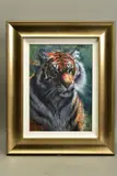 Tiger in the sun by Rolf Harris, print (other), sold Feb 2021
