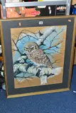 Little owl by Colin Hughes, 1975, gouache, sold Jan 2021