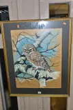 Little owl by Colin Hughes, 1975, gouache, offered Jan 2021