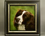 Colour springer by Steven Smith, mixed media on board, sold Dec 2020