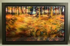 Tylaria by Nick Andrew, oil on canvas, sold Nov 2020
