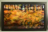 Tylaria by Nick Andrew, oil on canvas, sold Nov 2020