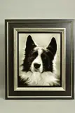 'Collie', a portrait of a Collie Dog, signed bottom right, air brush on by Steven Smith, oil, sold Nov 2020