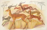 Impalas in a landscape Signed and dated 20/2/60 Oil by G. H. Scales, Oil on board, sold Aug 2020
