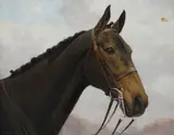 Portrait of a racehorse Signed Oil by F. M. Hollams, Oil on board, sold Aug 2020