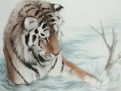 Tiger in the water Signed Watercolour 74 by Ralph Thompson, Watercolour, sold Aug 2020
