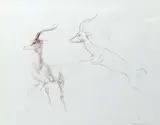 Studies of antelope Signed and dated 78 Pastel 43 by John Skeaping, Pastel, sold Aug 2020