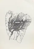 A Rose Shall Beget the Spring Signed by Jeanne Masoero, 1984, Pen and ink, offered Aug 2020