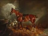 A saddled horse and dogs in a stable Signed Oil by J. Binns, Oil on canvas, sold Mar 2020