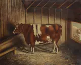 A cow in a barn Signed by E. Staniland, Oil on canvas, offered Mar 2020