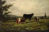 Cattle resting in a field by Fred Berg, 1885, Oil on canvas, sold Mar 2020