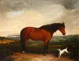 Pony and terrier by the coast by John Christopher Bell, oil on canvas, sold Nov 2014