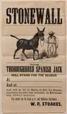 VIRGINIA THOROUGHBRED STUD BROADSIDE by Mathews Co., lithograph illustrated with an African-American groomer, sold Sep 2023