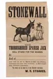 VIRGINIA THOROUGHBRED STUD BROADSIDE by Mathews Co., lithograph illustrated with an African-American groomer, sold Sep 2023