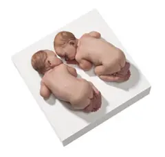 Untitled, 2012 – 14 by Sam Jinks, Edition: edition of 3, sold Sep 2016