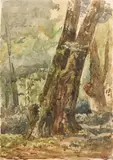 Sous-bois by Paul Huet, Aquarelle sur traits de mine de plomb, sold Mar 2025