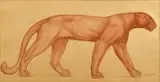 Panthère marchant by Auguste Trémont, Sanguine, sold Feb 2020