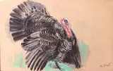 Dindon by Raymond Bigot, Crayon et gouache sur papier, sold Nov 2021