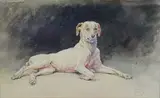 Chien allongé by Édouard Paul Mérite, Aquarelle et mine de plomb sur papier, sold Oct 2015