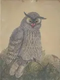 Hibou branché by Hélène Gasset-Housset, Encre de chine et rehauts de gouache signé en bas à gauche, sold Apr 2015