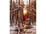 Romantische Abendstimmung im Winterwald by Yuliy Yulevich Klever, oil on canvas, sold Jun 2024