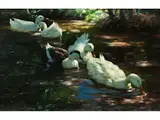 Enten im Schattigen Teich by Alexander Koester, oil on canvas, sold Mar 2019