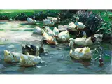 Enten im Schattigen Teich by Alexander Koester, oil on canvas, sold Jun 2024