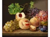 Stillleben by Franz Xaver Petter, oil on canvas, offered Jul 2015