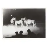 Big Apple Circus, NYC by John Rosenthal, Archival pigment print, sold May 2025