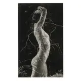 Symbiosis by Ruth Bernhard, Gelatin silver print, sold May 2025