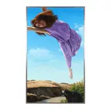 Attempts at Flight, No. 12 by David Palmer, Oil on canvas, sold May 2025