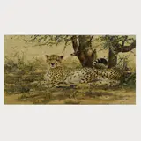 Cheetah, 2. Hälfte 20. Jh. by Donald Grant, oil on canvas, sold Oct 2024