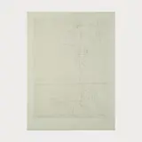 Taureau by Le Corbusier, 1965, etching, sold Oct 2024