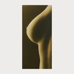 Melanie by Frederic Ohringer, 1992, gelatin silver print, sold Oct 2024