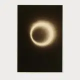 3 Photographien #1515, #1628 und #1629 aus der Serie 'Kawa = Flow" by Masao Yamamoto, 2007, gelatin silver print, sold Oct 2024