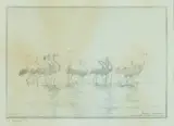 Flamingos by Robert Hainard, 1930, color woodcut, sold Mar 2026
